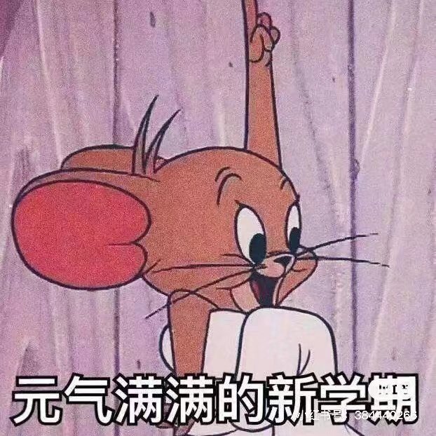 0531-76267244